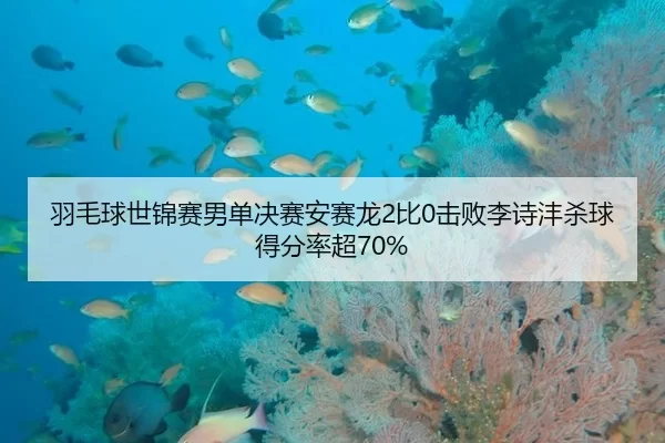 羽毛球世锦赛男单决赛安赛龙2比0击败李诗沣杀球得分率超70%